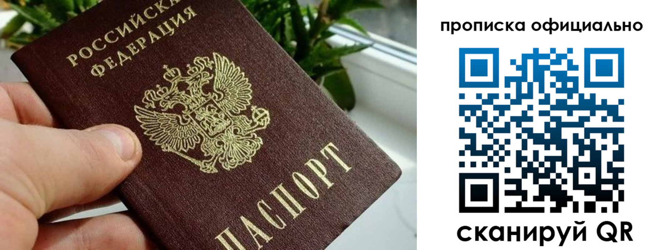 прописка поиск в Льгове